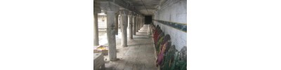 222. திருநாவலூர்